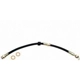 Purchase Top-Quality Rear Brake Hose by RAYBESTOS - BH38842 pa17