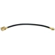 Purchase Top-Quality Rear Brake Hose by RAYBESTOS - BH38846 pa4