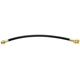 Purchase Top-Quality Rear Brake Hose by RAYBESTOS - BH38882 pa4