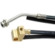 Purchase Top-Quality Rear Brake Hose by RAYBESTOS - BH38901 pa3