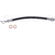 Purchase Top-Quality Rear Brake Hose by SUNSONG NORTH AMERICA - 2201366 pa4