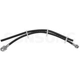 Purchase Top-Quality Rear Brake Hose by SUNSONG NORTH AMERICA - 2203664 pa1