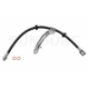 Purchase Top-Quality Rear Brake Hose by SUNSONG NORTH AMERICA - 2204401 pa1