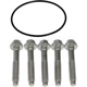 Purchase Top-Quality DORMAN (OE SOLUTIONS) - 926-127 - Rear Brake Rotor Bolt Or Screw pa2