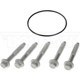 Purchase Top-Quality DORMAN (OE SOLUTIONS) - 926-127 - Rear Brake Rotor Bolt Or Screw pa8