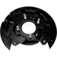 Purchase Top-Quality Rear Brake Shield by DORMAN (OE SOLUTIONS) - 926-374 pa2