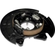 Purchase Top-Quality Rear Brake Shield by DORMAN (OE SOLUTIONS) - 926-374 pa5