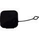 Purchase Top-Quality Rear Bumper Tow Hook Cover - BM1129155 pa1