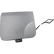 Purchase Top-Quality Rear Bumper Tow Hook Cover - BM1129159 pa1