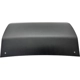 Purchase Top-Quality Rear Bumper Tow Hook Cover - GM1129141 pa3