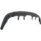 Purchase Top-Quality Rear Bumper Valance Panel - GM1195107 pa2