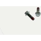 Purchase Top-Quality Rear Caliper Bolt Or Pin by CARLSON - H804 pa3