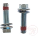 Purchase Top-Quality Rear Caliper Bolt Or Pin by RAYBESTOS - H17029 pa1
