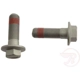 Purchase Top-Quality Rear Caliper Bolt Or Pin by RAYBESTOS - H17044 pa1