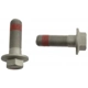 Purchase Top-Quality Rear Caliper Bolt Or Pin by RAYBESTOS - H17044 pa2