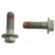 Purchase Top-Quality Rear Caliper Bolt Or Pin by RAYBESTOS - H17044 pa3