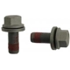 Purchase Top-Quality Rear Caliper Bolt Or Pin by RAYBESTOS - H17047 pa2