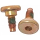 Purchase Top-Quality Rear Caliper Bolt Or Pin by RAYBESTOS - H5019W pa8