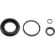 Purchase Top-Quality Rear Caliper Kit by DORMAN/FIRST STOP - D352823 pa2