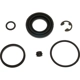 Purchase Top-Quality Rear Caliper Kit by RAYBESTOS - WK3485 pa2