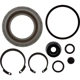 Purchase Top-Quality Rear Caliper Kit by RAYBESTOS - WK4203 pa2
