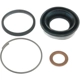 Purchase Top-Quality Rear Caliper Kit by RAYBESTOS - WK1531 pa1