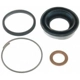 Purchase Top-Quality Rear Caliper Kit by RAYBESTOS - WK1531 pa3