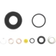 Purchase Top-Quality Rear Caliper Kit by RAYBESTOS - WK1734 pa2