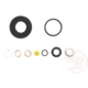 Purchase Top-Quality Rear Caliper Kit by RAYBESTOS - WK1734 pa3