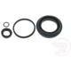 Purchase Top-Quality Rear Caliper Kit by RAYBESTOS - WK1967 pa3