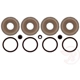 Purchase Top-Quality Rear Caliper Kit by RAYBESTOS - WK4211 pa1