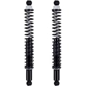 Purchase Top-Quality FCS AUTOMOTIVE - SC00018 - Suspension Shock Absorber and Coil Spring Assembly pa1