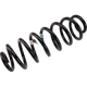 Purchase Top-Quality Rear Coil Springs by ACDELCO - 25783732 pa1