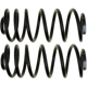 Purchase Top-Quality ACDELCO - 45H1163 - Rear Premium Coil Springs pa1