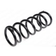 Purchase Top-Quality LESJOFORS - 4262063 - Rear Coil Spring pa1