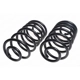 Purchase Top-Quality LESJOFORS - 4412130 - Rear Coil Springs pa1