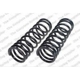 Purchase Top-Quality Rear Coil Spring by LESJOFORS - 4462005 pa1