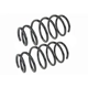 Purchase Top-Quality Rear Coil Springs by MEVOTECH - SMS250137 pa1