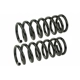 Purchase Top-Quality MEVOTECH - SMS30025 - Coil Spring Set pa1