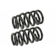 Purchase Top-Quality MEVOTECH - SMS60045 - Coil Spring Set pa1