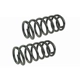 Purchase Top-Quality MEVOTECH - SMS81631 - Rear Coil Springs pa1