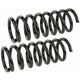 Purchase Top-Quality Rear Coil Springs by MEVOTECH - SMS30020 pa1