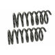 Purchase Top-Quality Rear Coil Springs by MEVOTECH - SMS30021 pa1