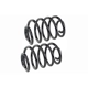 Purchase Top-Quality Rear Coil Springs by MEVOTECH - SMS3229 pa2