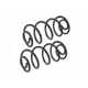 Purchase Top-Quality Rear Coil Springs by MEVOTECH - SMS5329 pa3