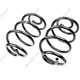 Purchase Top-Quality Rear Coil Springs by MEVOTECH - SMS5385 pa2