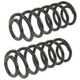 Purchase Top-Quality Rear Coil Springs by MEVOTECH - SMS81638 pa1