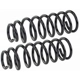 Purchase Top-Quality Rear Coil Springs by MEVOTECH - SMS86053 pa1