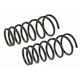 Purchase Top-Quality Rear Coil Springs by MEVOTECH - SMS9647 pa2