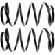 Purchase Top-Quality MOOG - 80919 - Rear Coil Springs pa2